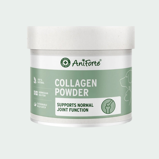 Collagen Powder