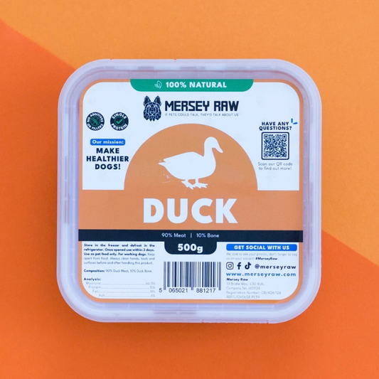 Duck
