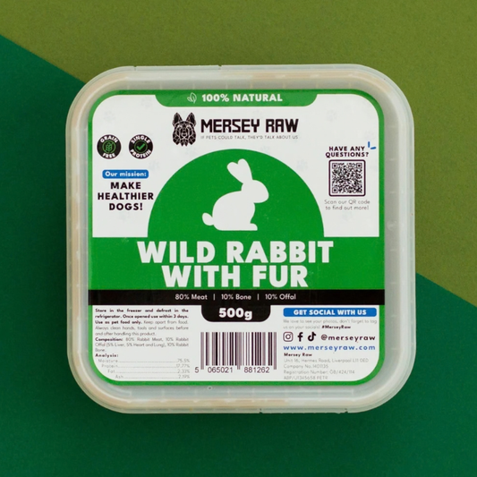 Wild Rabbit With Fur