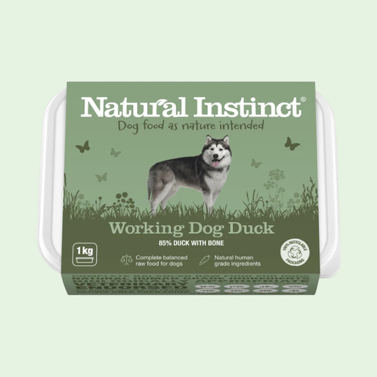Working Dog Duck