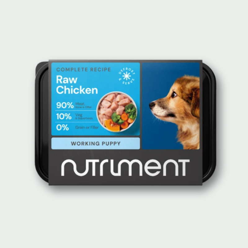Puppy Raw Chicken