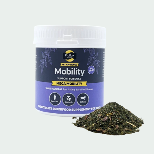 Mega Mobility Joint Supplement