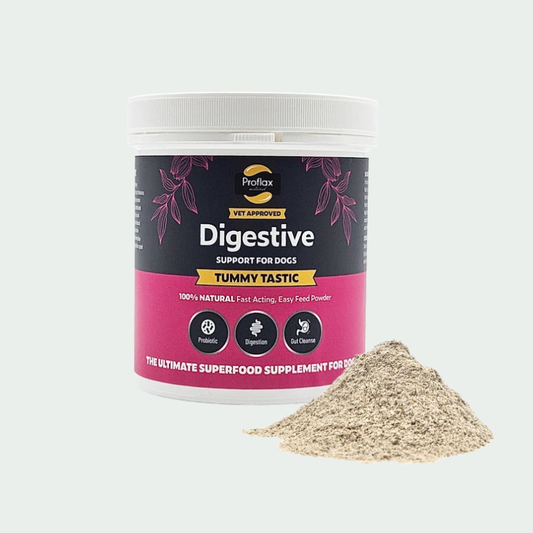 Tummy Tastic Digestive Supplement