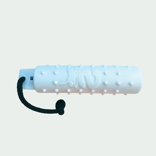 Water Dummy